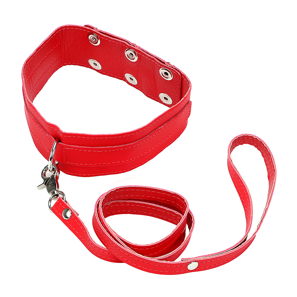 Flat Section Faux Leather Collar and Lead