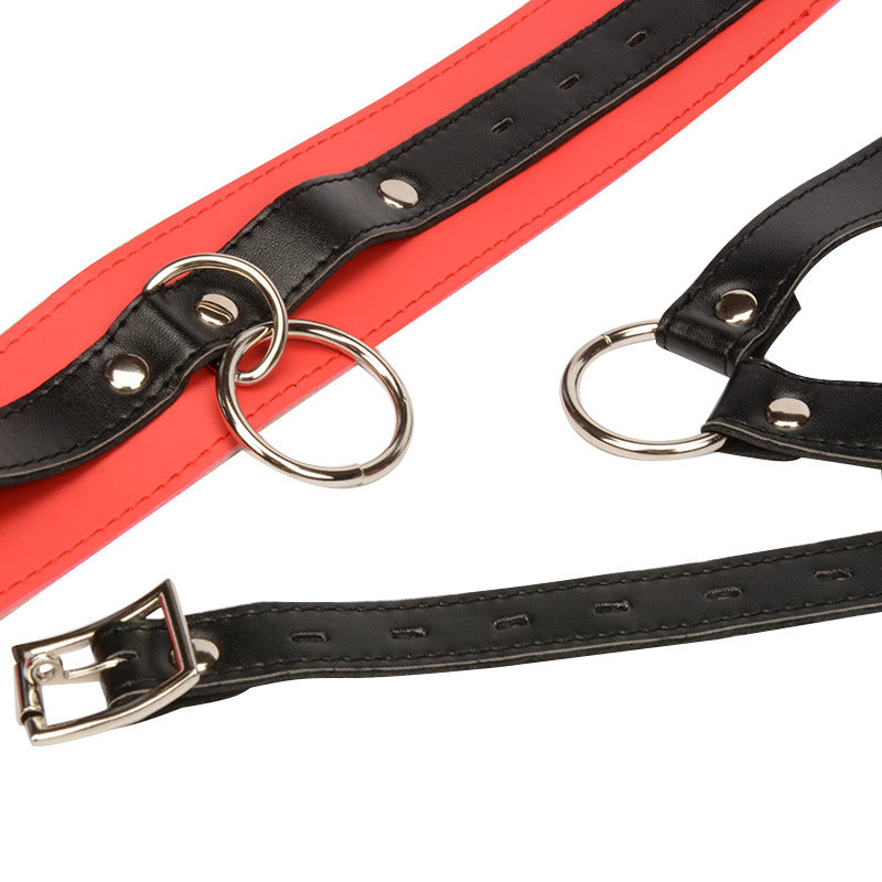 Red and Black Collar Breast Harness Restraint