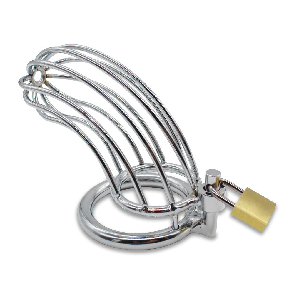 Large Stainless Steel Cock Cage with Lock