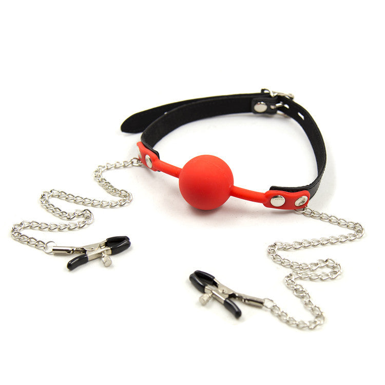 Ball Gag and Nipple Clamps